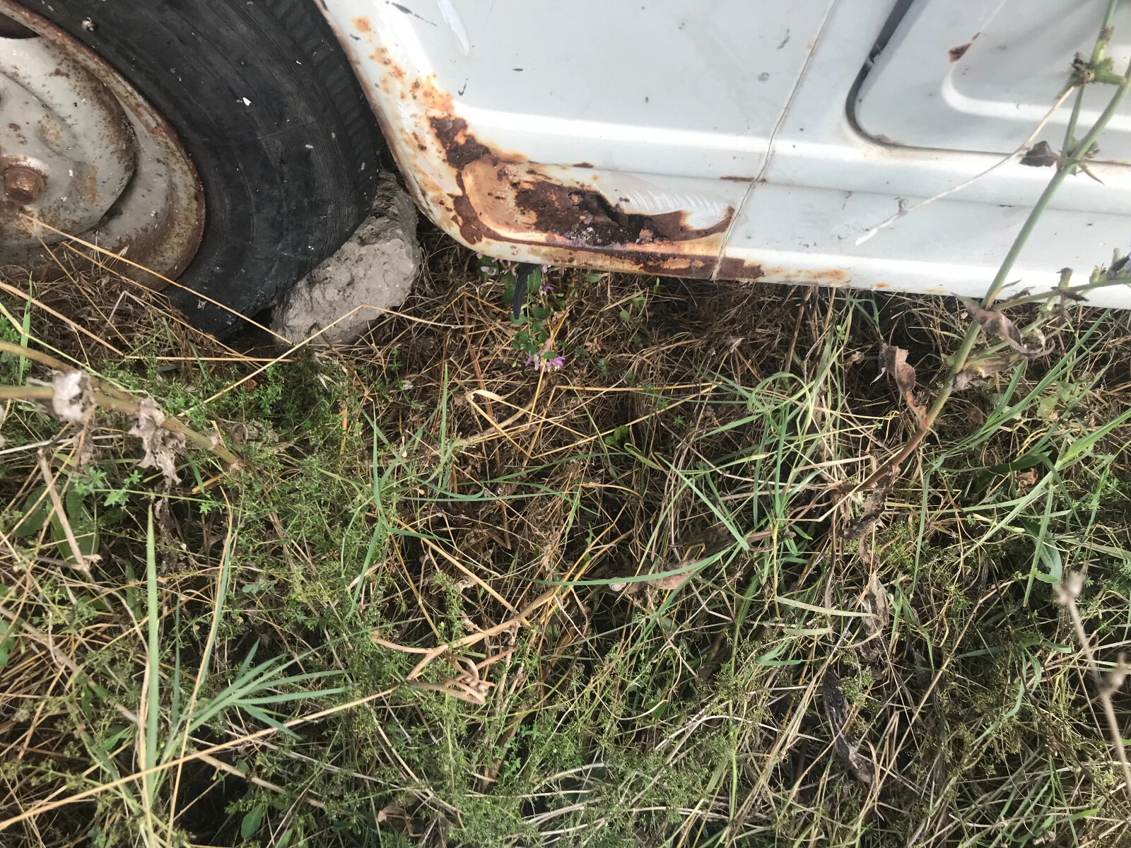 Barkas 1000 | Mobile.bg � ����������� 14