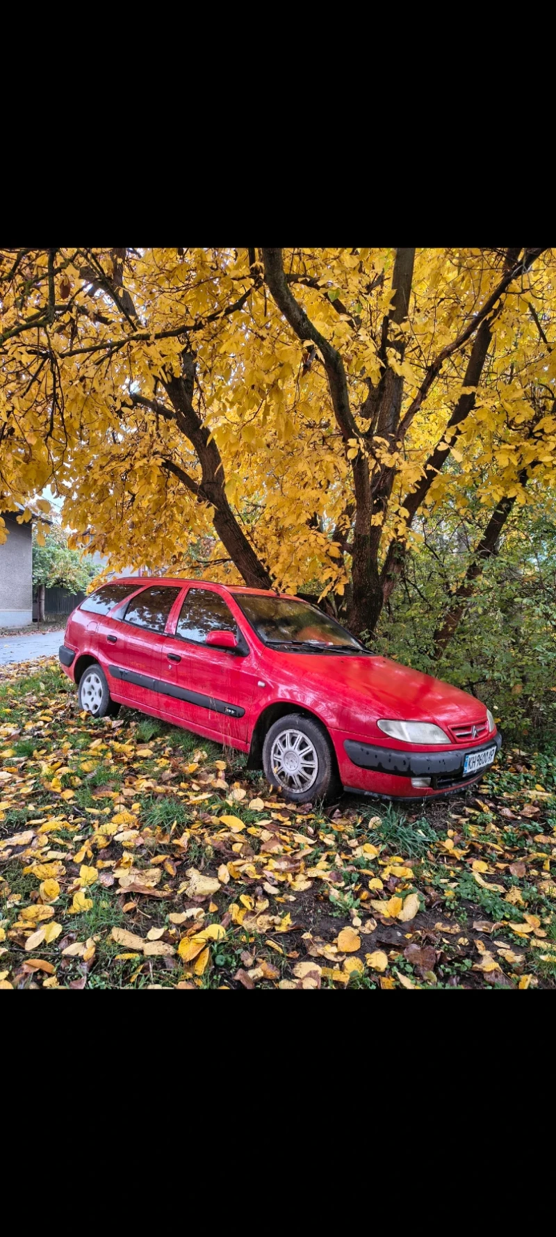 Citroen Xsara