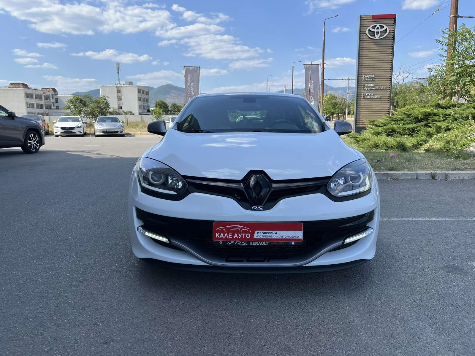 Renault Megane RS Sport, снимка 2 - Автомобили и джипове - 55655870