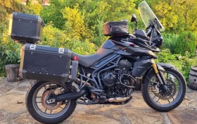     Triumph Tiger