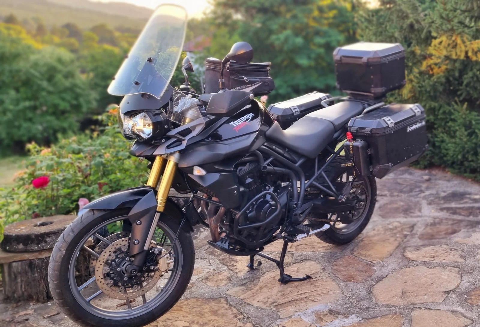 Triumph Tiger  - изображение 9