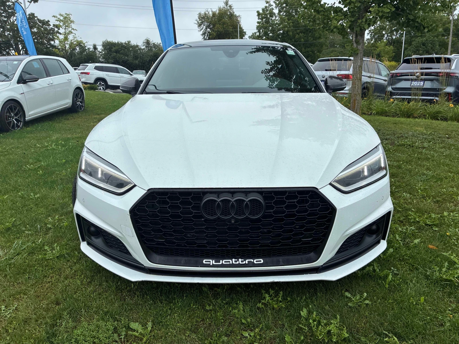 Audi S5 * Technik * DIS* B&O* CARFAX* , снимка 6 - Автомобили и джипове - 55905435