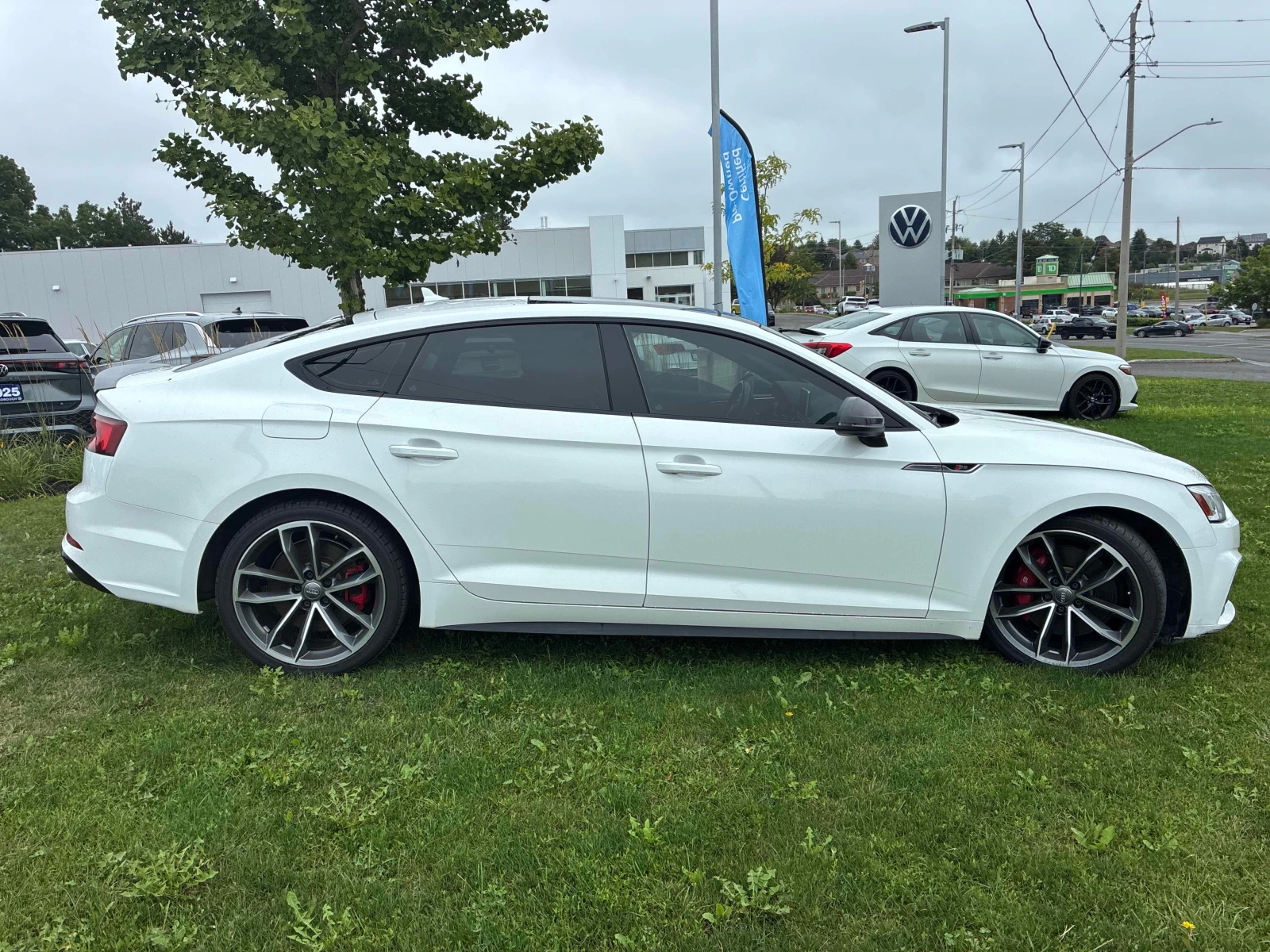 Audi S5 * Technik * DIS* B&O* CARFAX* , снимка 3 - Автомобили и джипове - 55905435