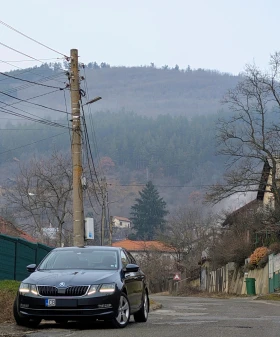 Skoda Octavia 2.0TDI 4x4 Facelift, снимка 2