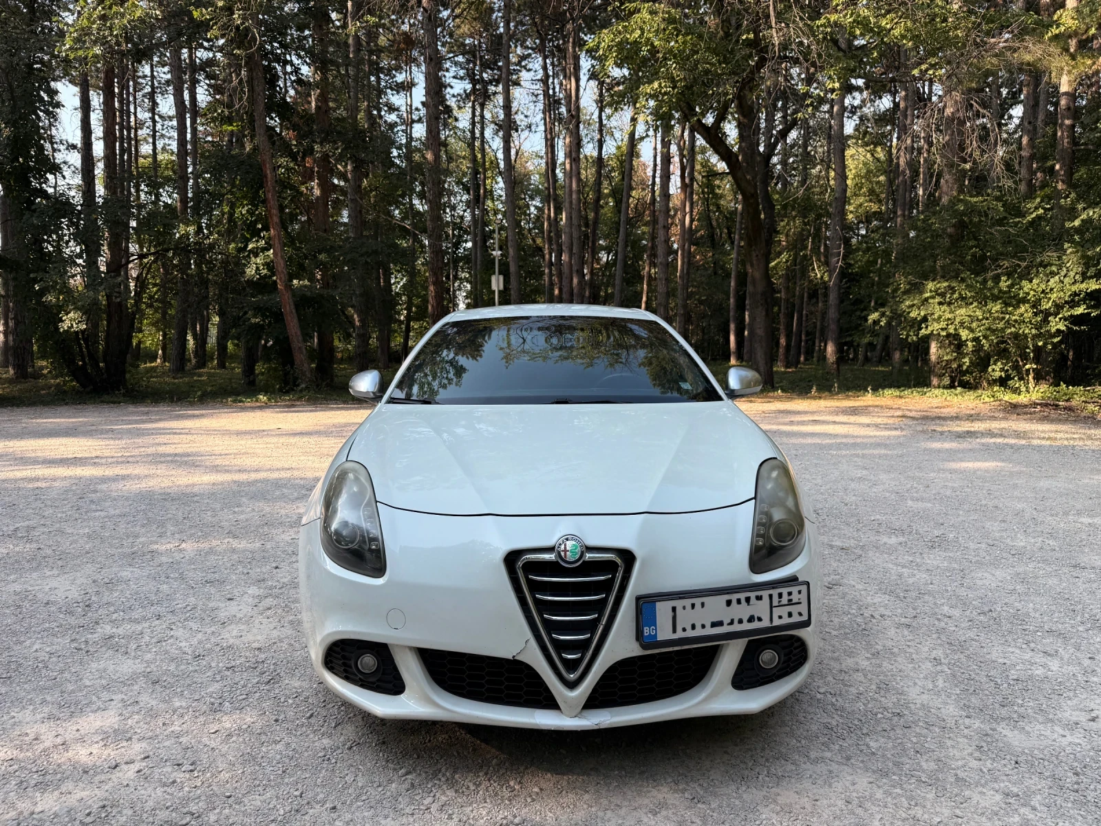 Alfa Romeo Giulietta 2.0 JTDM, снимка 8 - Автомобили и джипове - 55734782