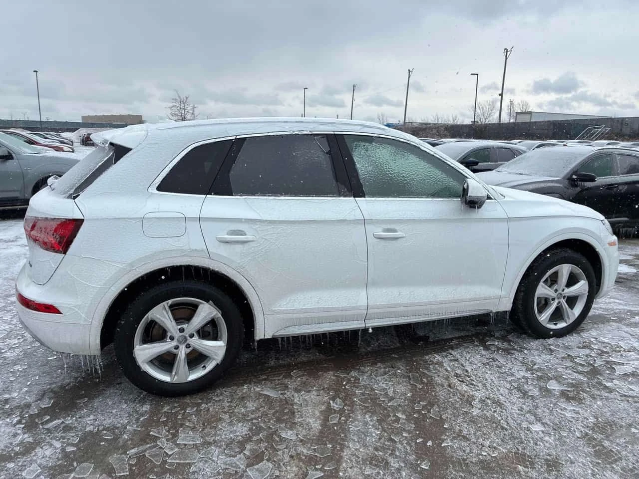 Audi Q5 * Progressiv * БЕЗ ЗАБЕЛЕЖКИ* PANORAMA* ПОДГРЕВИ* , снимка 3 - Автомобили и джипове - 54002329
