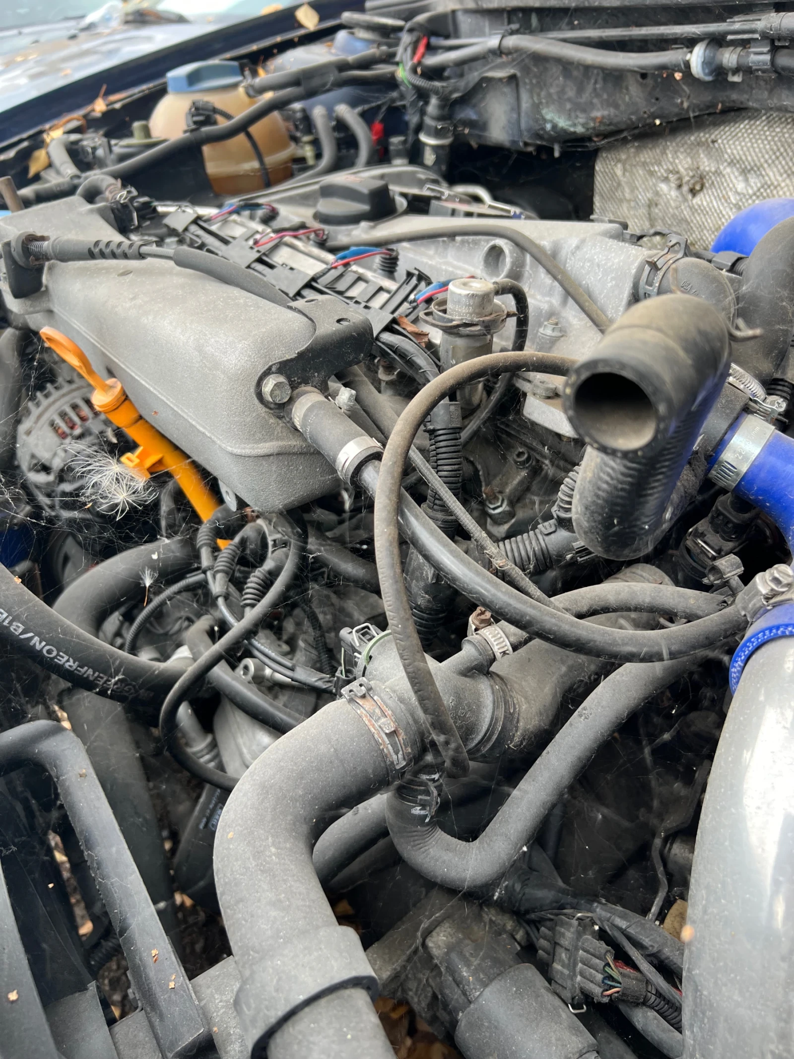Audi A3 ���� ������ | Mobile.bg � ����������� 4