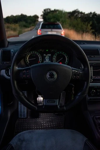 Skoda Octavia RS, снимка 9 - Автомобили и джипове - 53816220