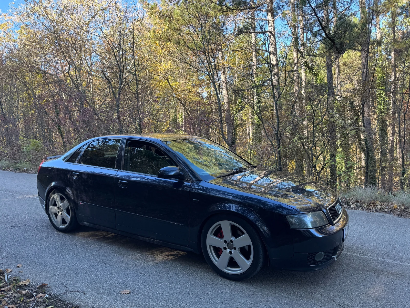 Audi A4 1.8T - изображение 3