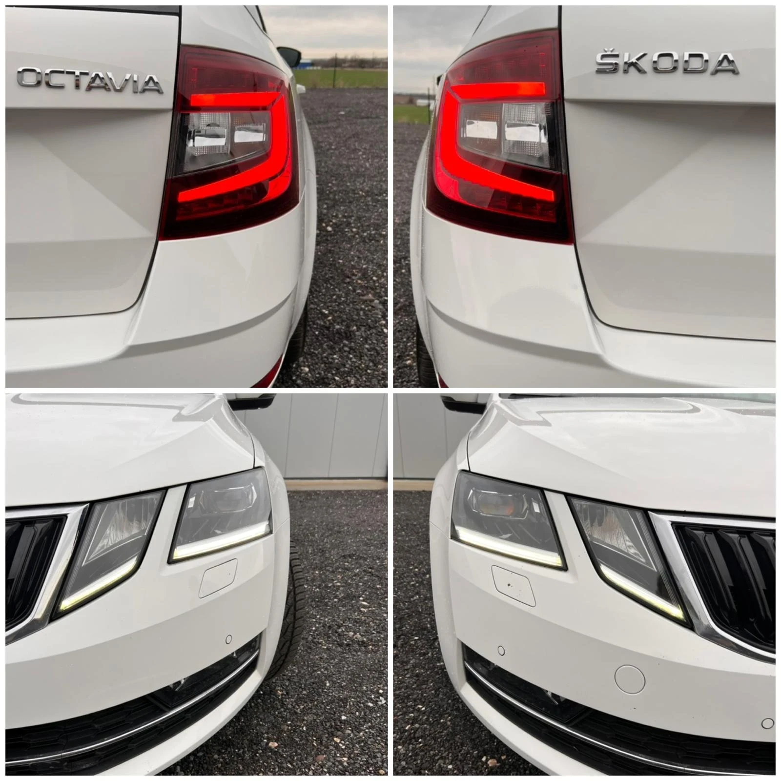 Skoda Octavia 1.6TDI DSG | Mobile.bg � ����������� 10