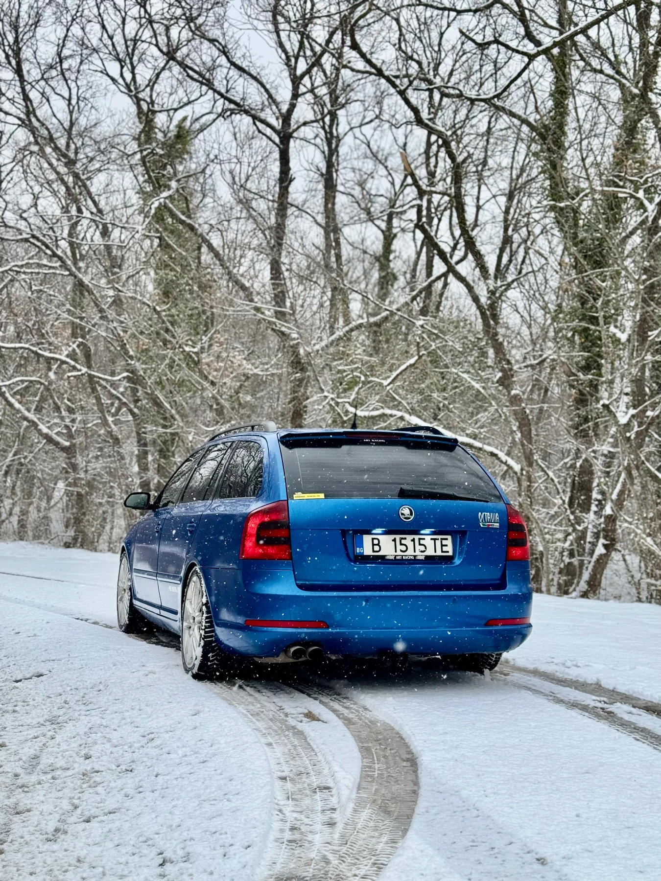 Skoda Octavia RS, снимка 5 - Автомобили и джипове - 53816220