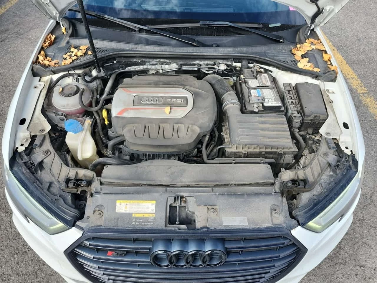 Audi S3 2.0T * PROGRESSIV * CARFAX * , снимка 17 - Автомобили и джипове - 56464111