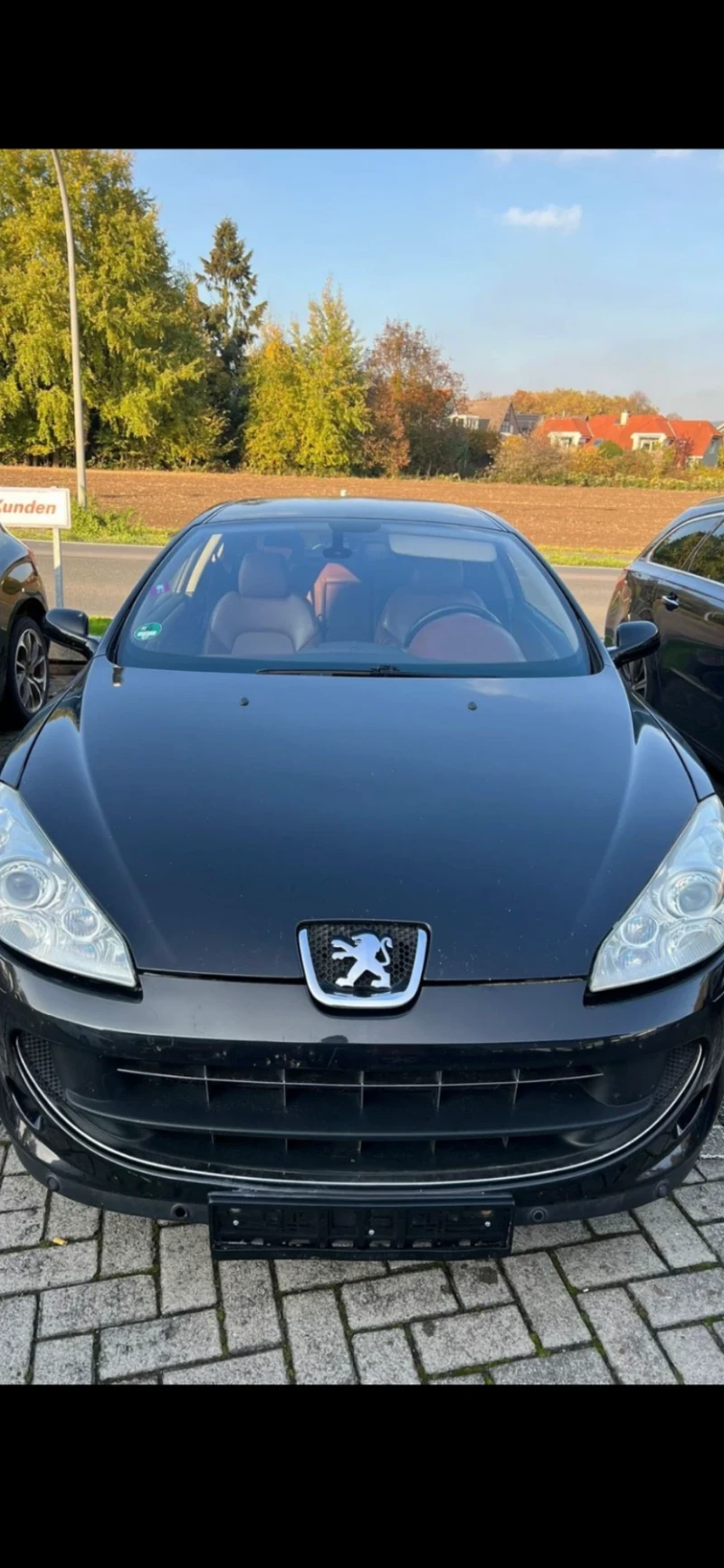 Peugeot 407 Peugeot 407 Coupе 2.7 HDi V6 Biturbo Leder, снимка 5 - Автомобили и джипове - 52475595