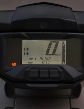 Yamaha Grizzly SPECIAL EDITION!!!, снимка 15