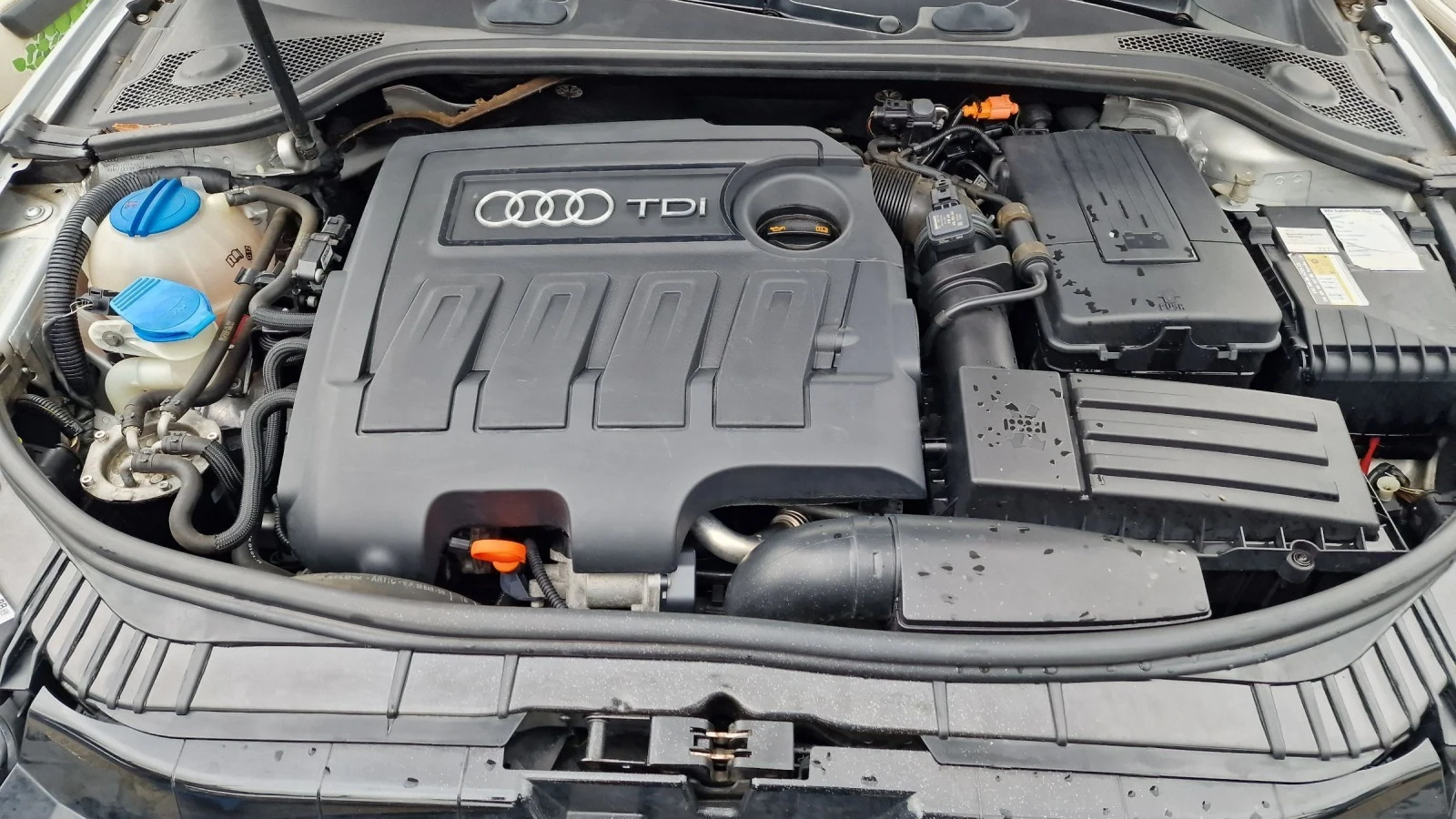 Audi A3 1.6tdi  - изображение 7