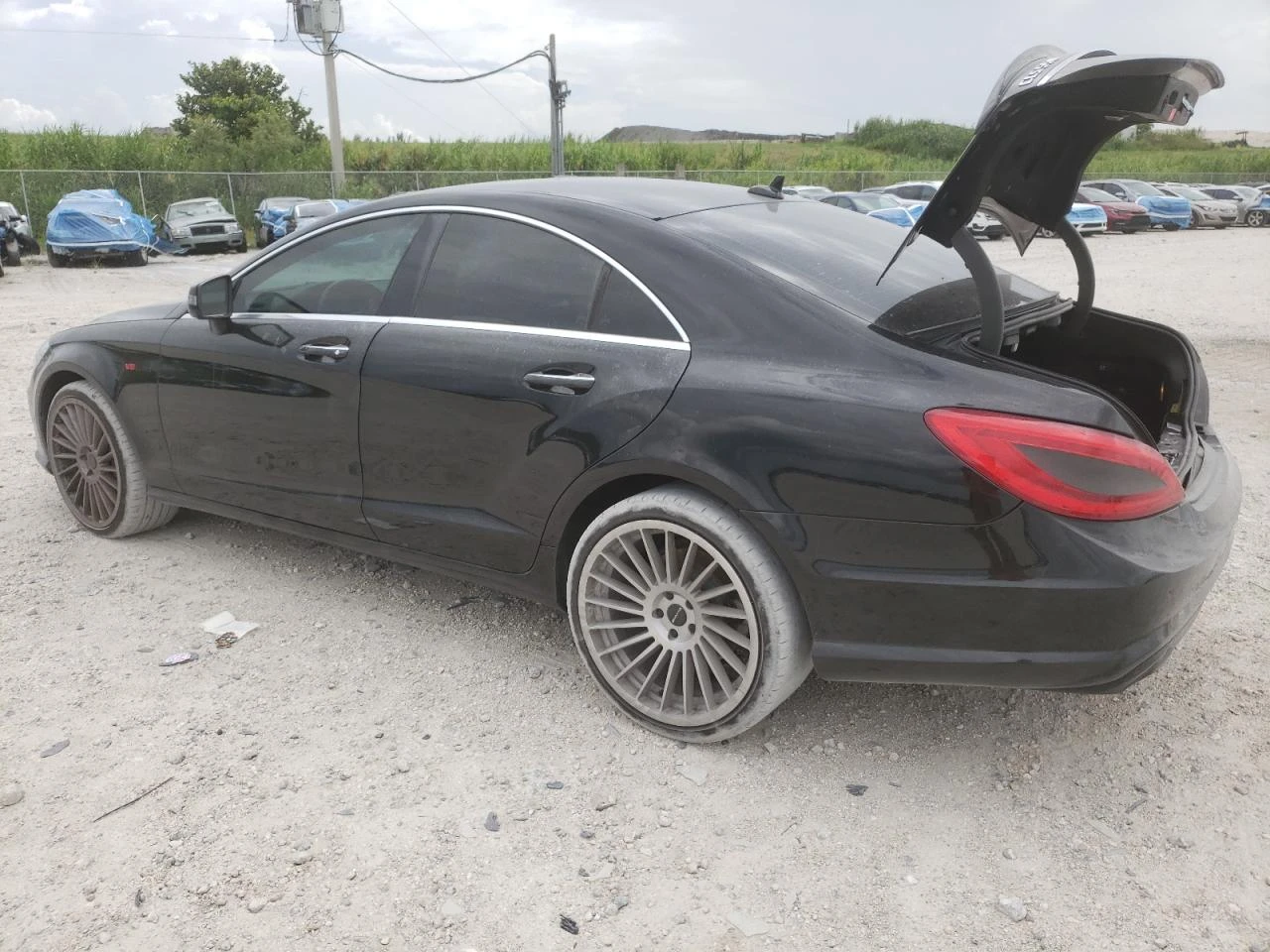 Mercedes-Benz CLS 500  - изображение 4