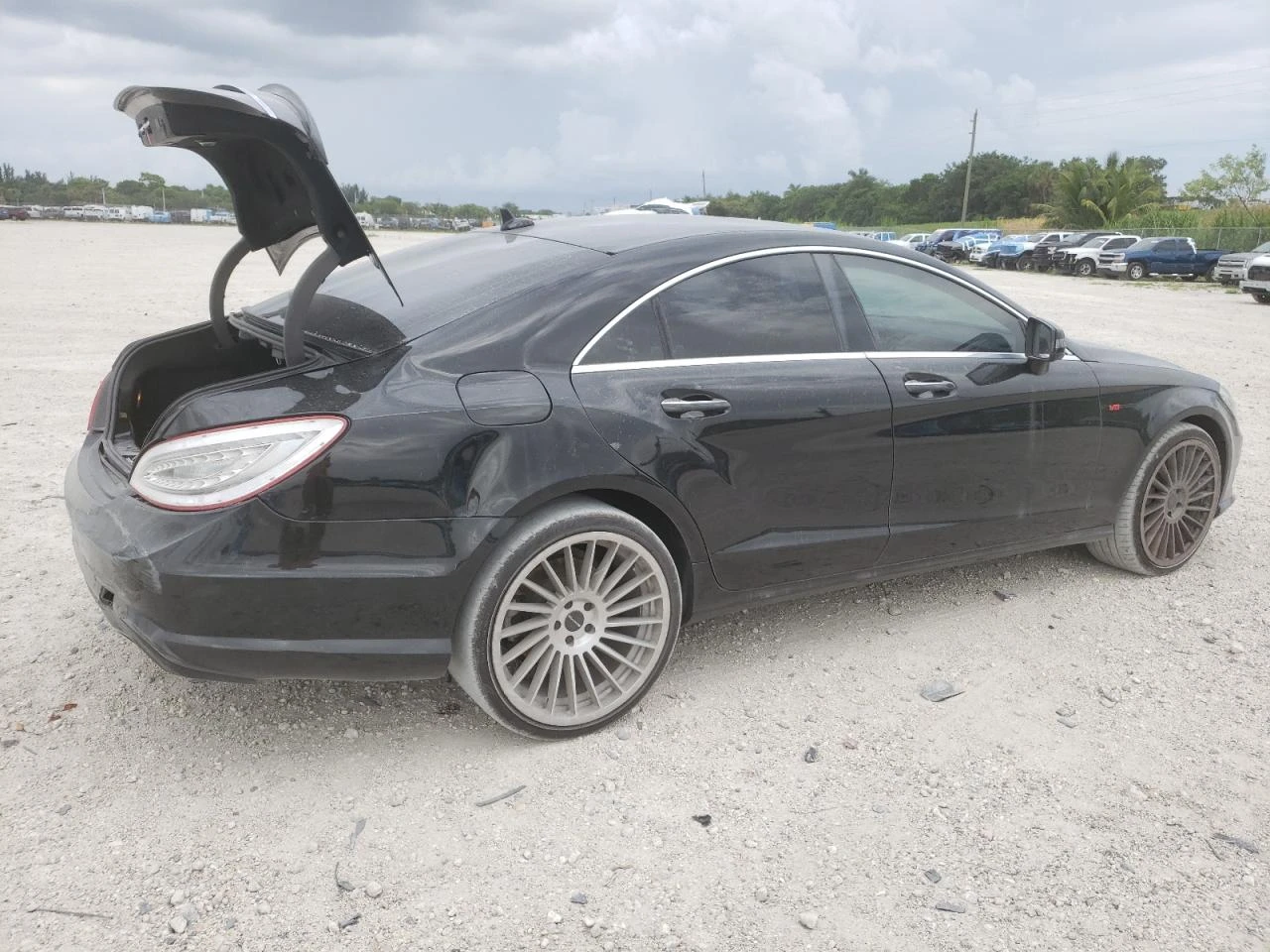 Mercedes-Benz CLS 500  - изображение 6