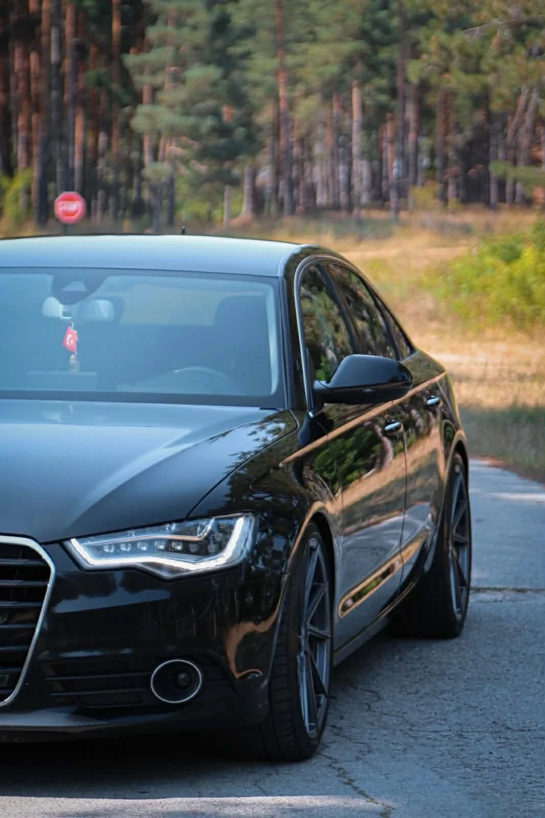 Audi A6 3.0BITDI 313кс Full Matrix Лизонг - изображение 6