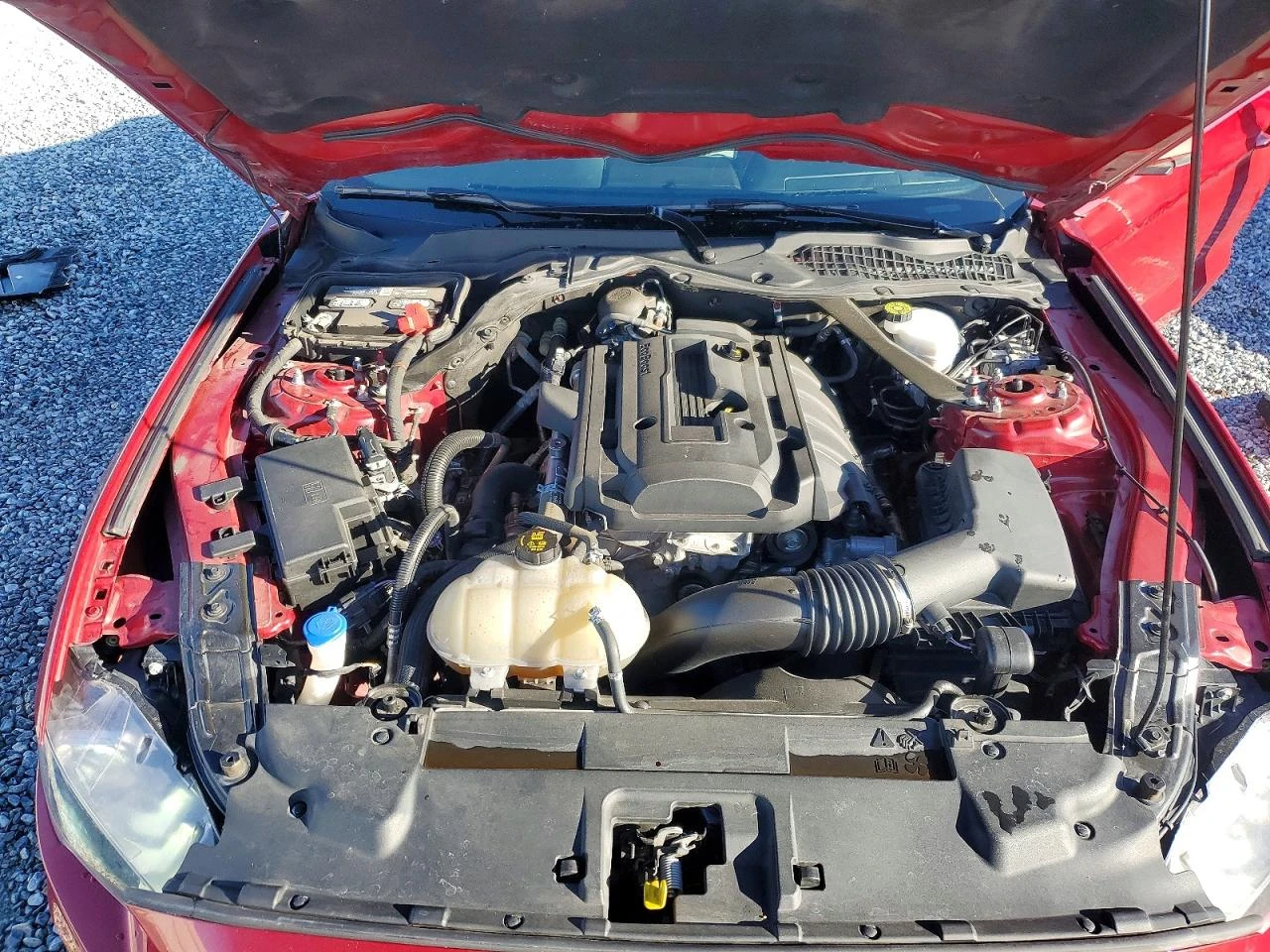 Ford Mustang 2.3l EcoBoost Fastback, снимка 11 - Автомобили и джипове - 54350933