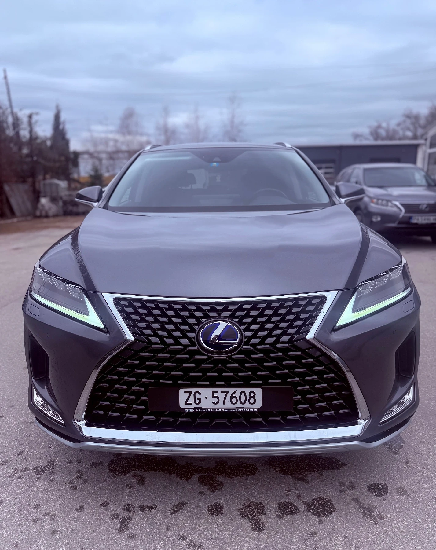 Lexus RX 450h ШВЕЙЦАРИЯ / АВТОМОБИЛА Е В ГАРАНЦИЯ, снимка 9 - Автомобили и джипове - 53962978