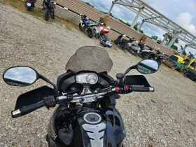 Triumph Tiger   | Mobile.bg    9