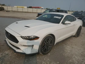     Ford Mustang EcoBoost *  * * Ambient*