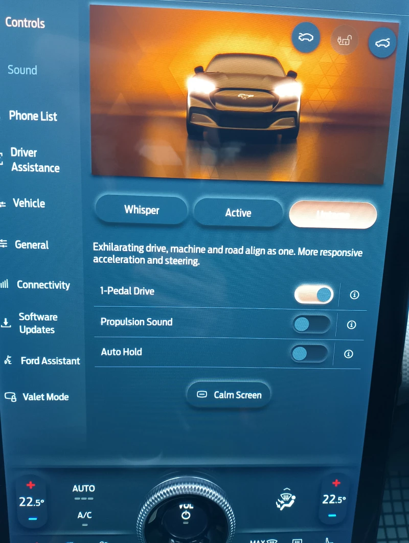 Ford Mustang Mach-E 76KW* RWD* 96.3%SOH* Bang & Olufsen* FordConnect, снимка 9 - Автомобили и джипове - 53529998