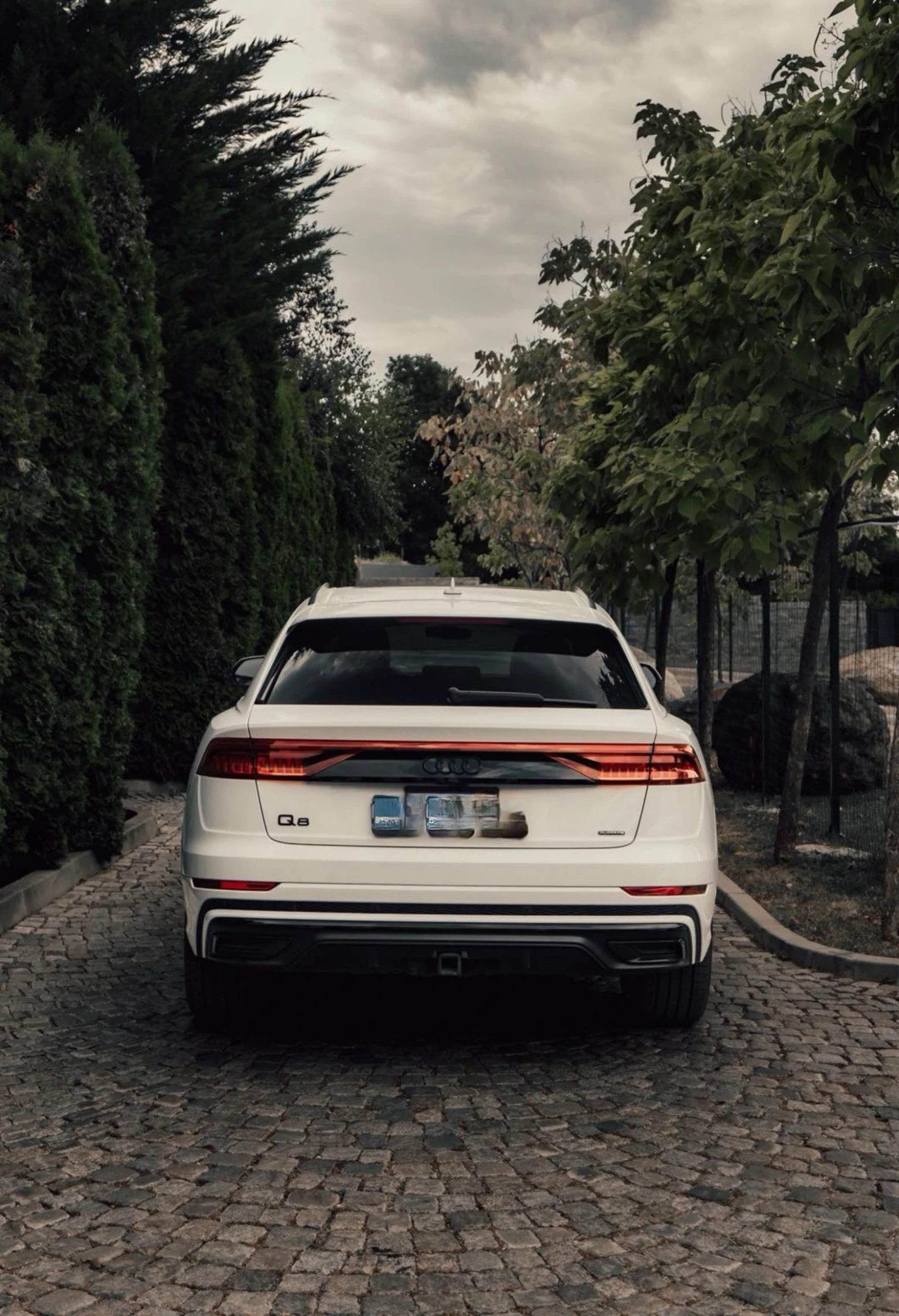 Audi Q8, снимка 3 - Автомобили и джипове - 55806752