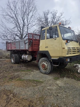 Steyr 19 Самосвал 4?4, снимка 1