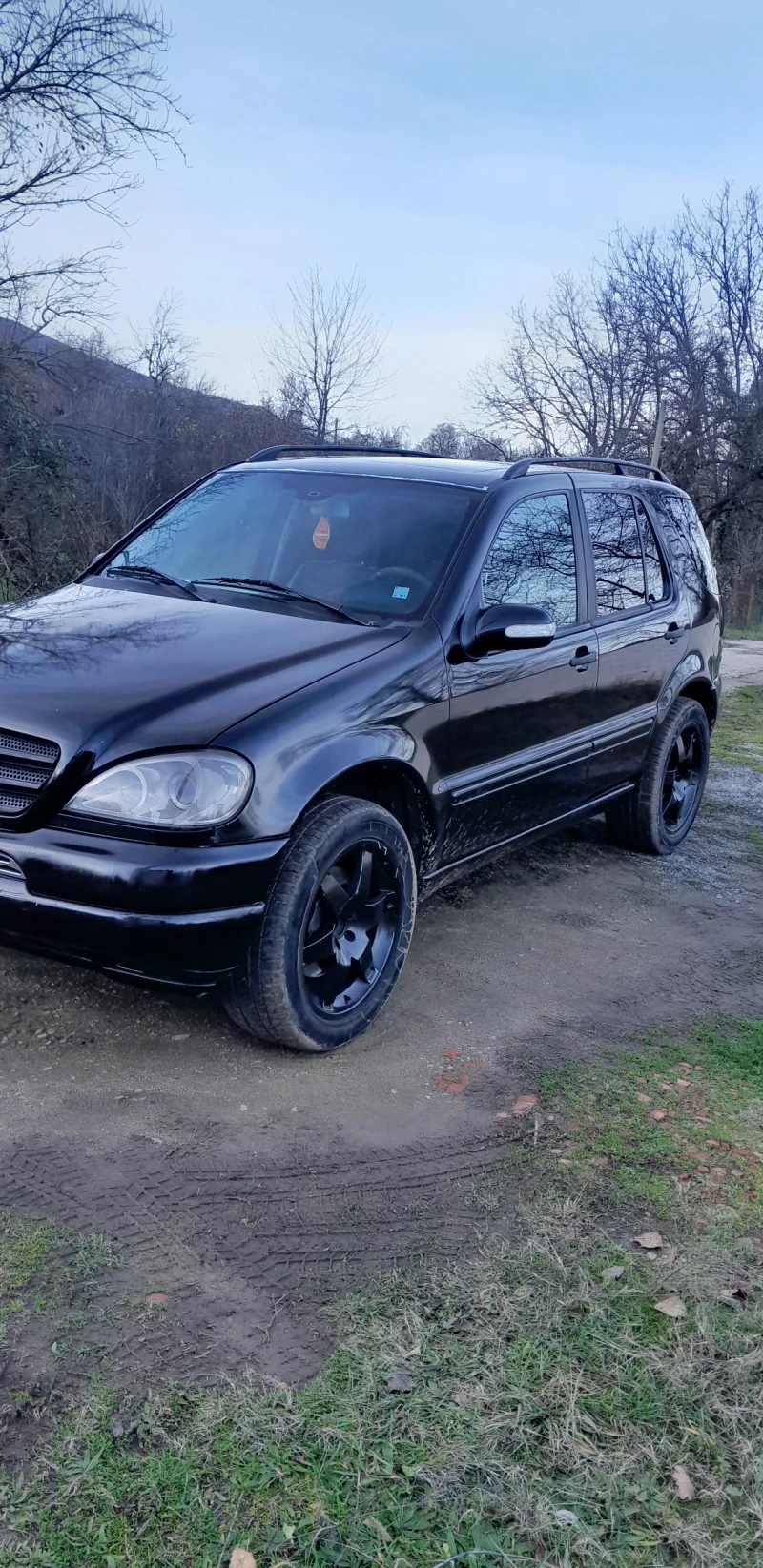 Mercedes-Benz ML 270 CDI, снимка 2 - Автомобили и джипове - 52726969