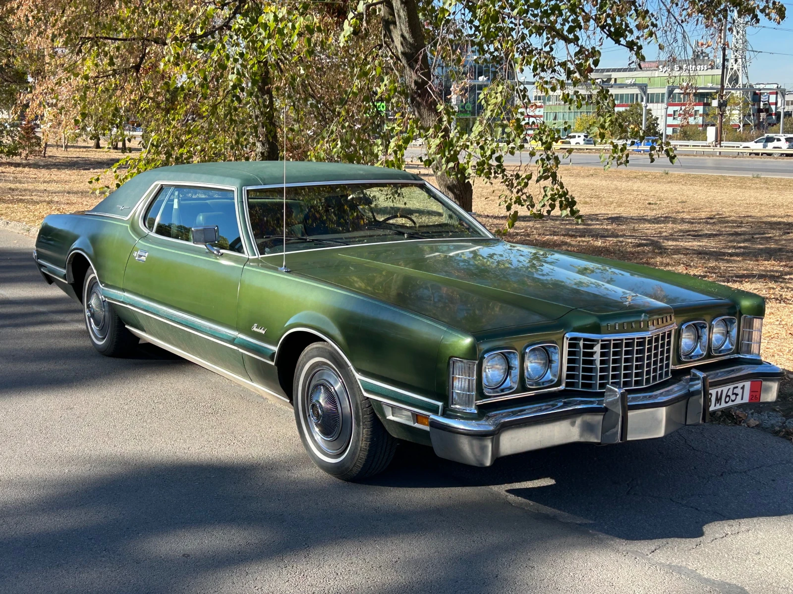 Ford Thunderbird 7.5 V8, снимка 3 - Автомобили и джипове - 55379205
