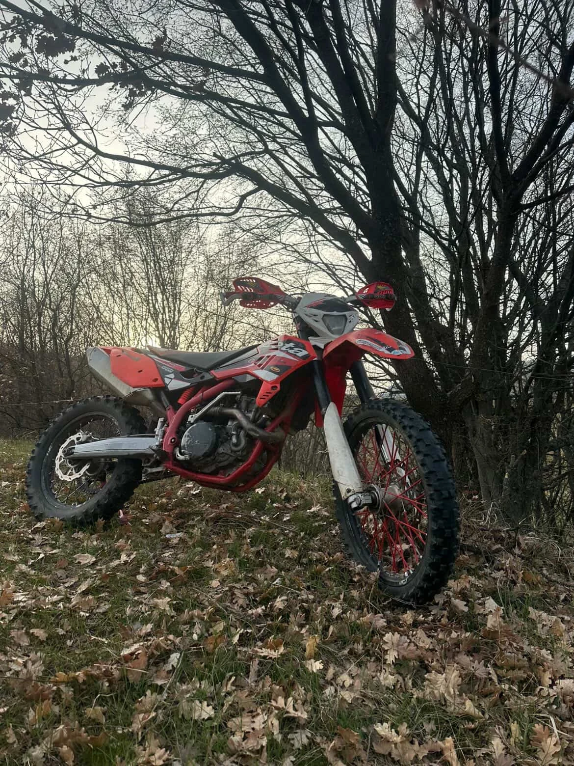 Beta RE, снимка 4 - Мотоциклети и мототехника - 54209235