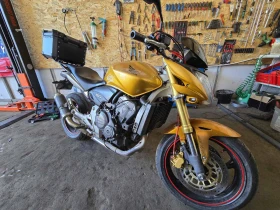 Honda Hornet 