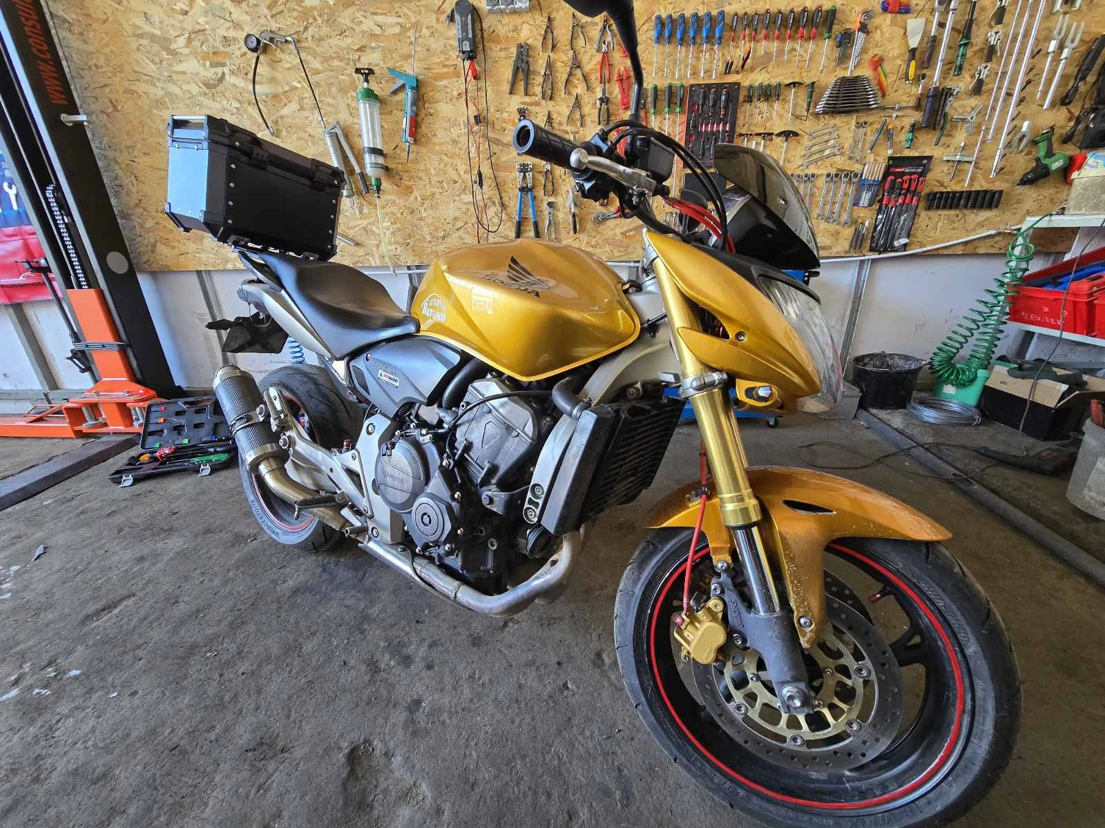 Honda Hornet