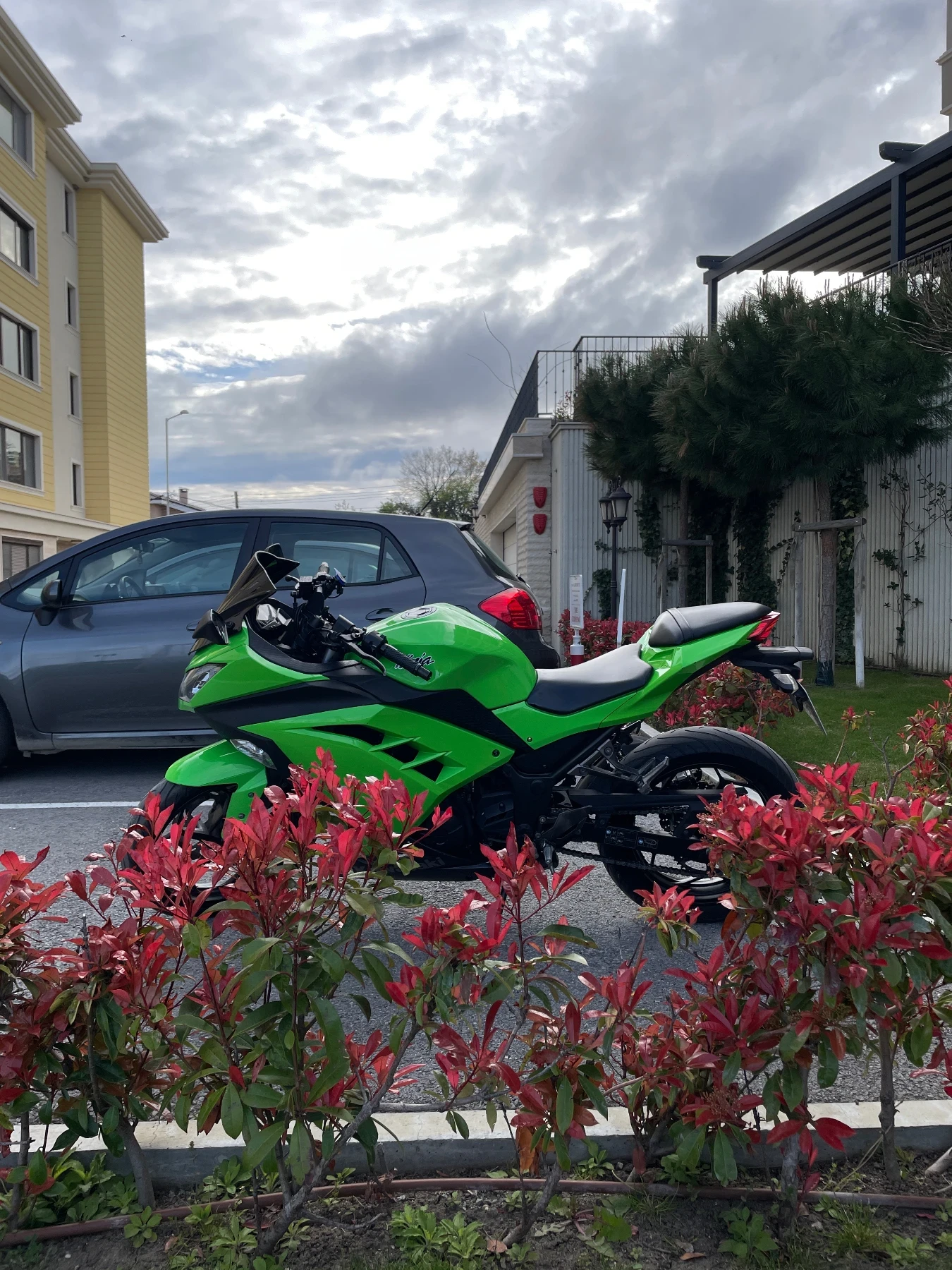 Kawasaki Ninja 300 - изображение 5