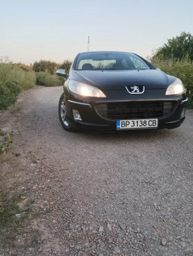 Peugeot 407 2.0 136 - изображение 3