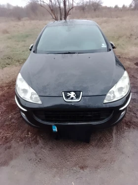 Peugeot 407 2.0 136, снимка 1