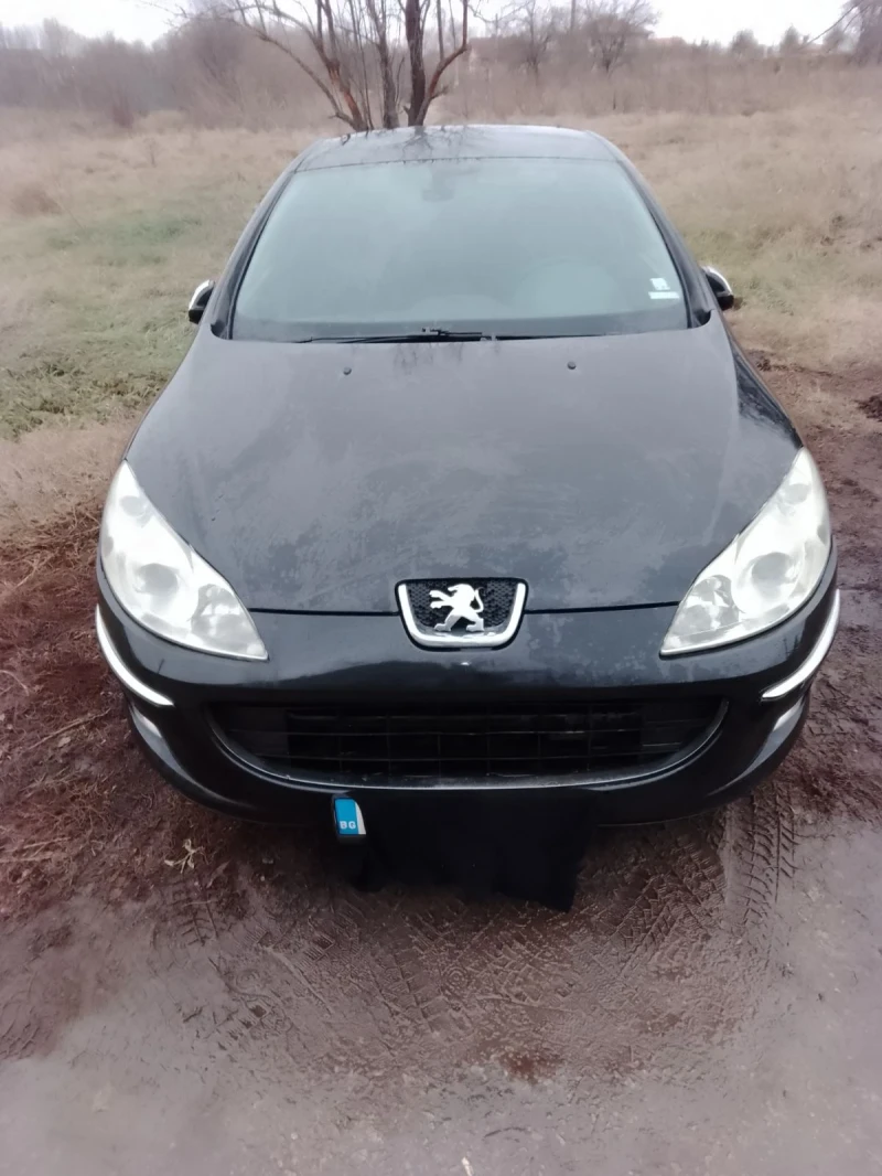 Peugeot 407 2.0 136, снимка 1 - Автомобили и джипове - 47818461