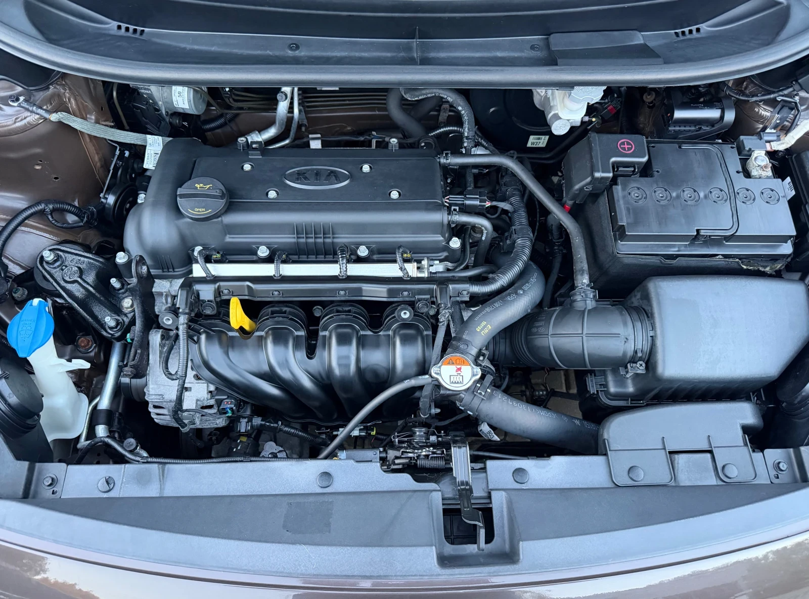 Kia Rio 1.4i Style   Euro 6b ��� ��������� !!!   | Mobile.bg � ����������� 15