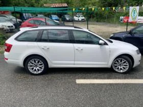 Skoda Octavia 1.6 TDI 4x4 | Mobile.bg    2