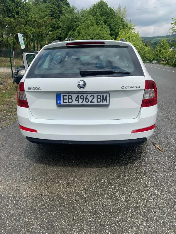 Skoda Octavia 1.6 TDI 4x4, снимка 7 - Автомобили и джипове - 29306154