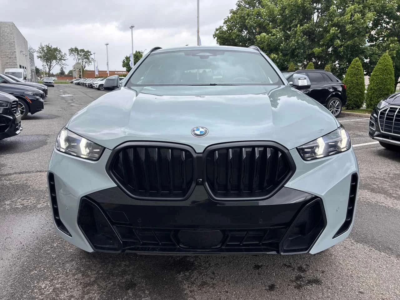 BMW X6 xDrive40i/360/DIS/HUD/H&K/ОБДУХВАНЕ/, снимка 6 - Автомобили и джипове - 54964077