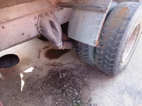 Scania 143 420 | Mobile.bg � ����� ������ 7