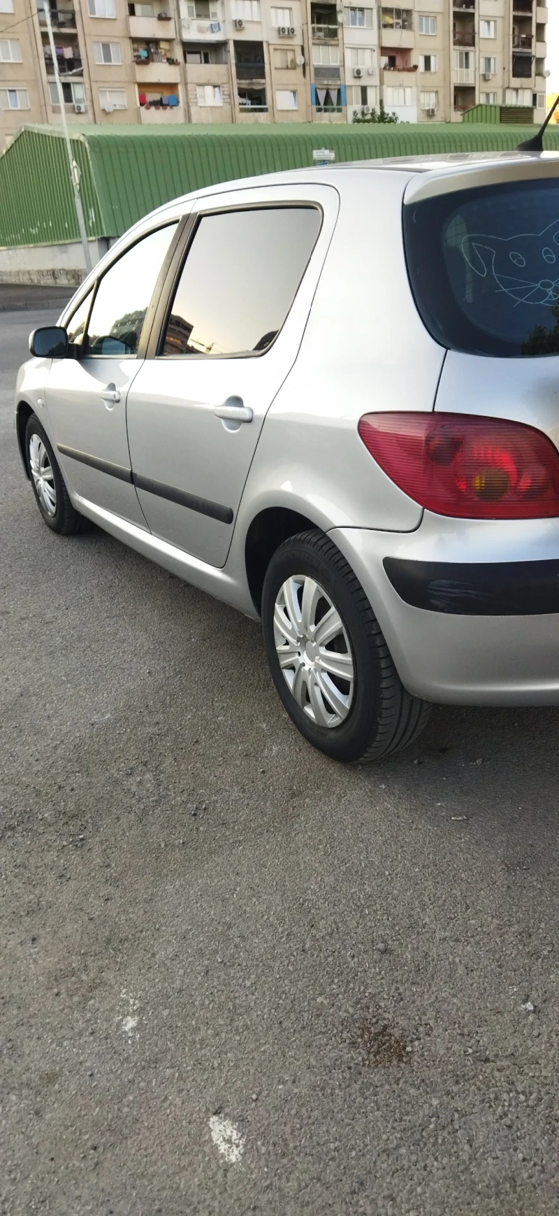 Peugeot 307, снимка 12 - Автомобили и джипове - 46868061