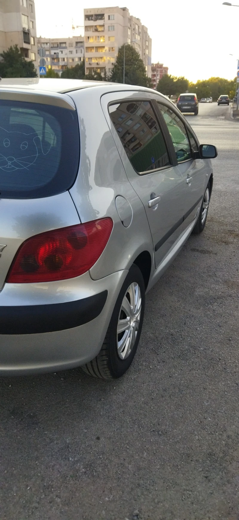 Peugeot 307, снимка 11 - Автомобили и джипове - 46868061