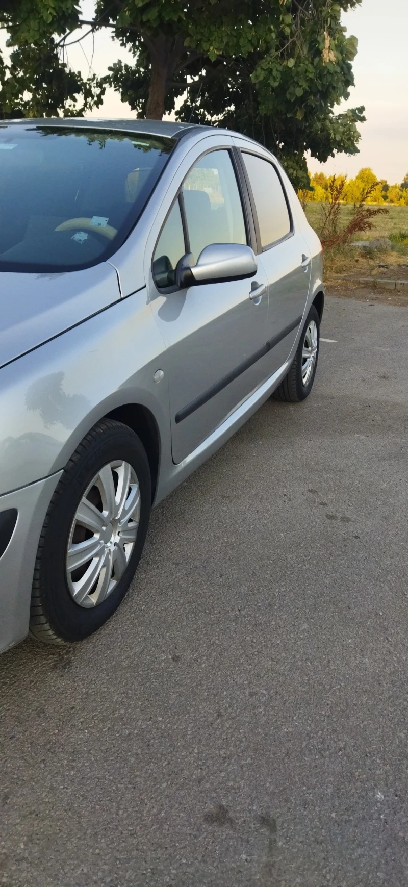 Peugeot 307, снимка 8 - Автомобили и джипове - 46868061