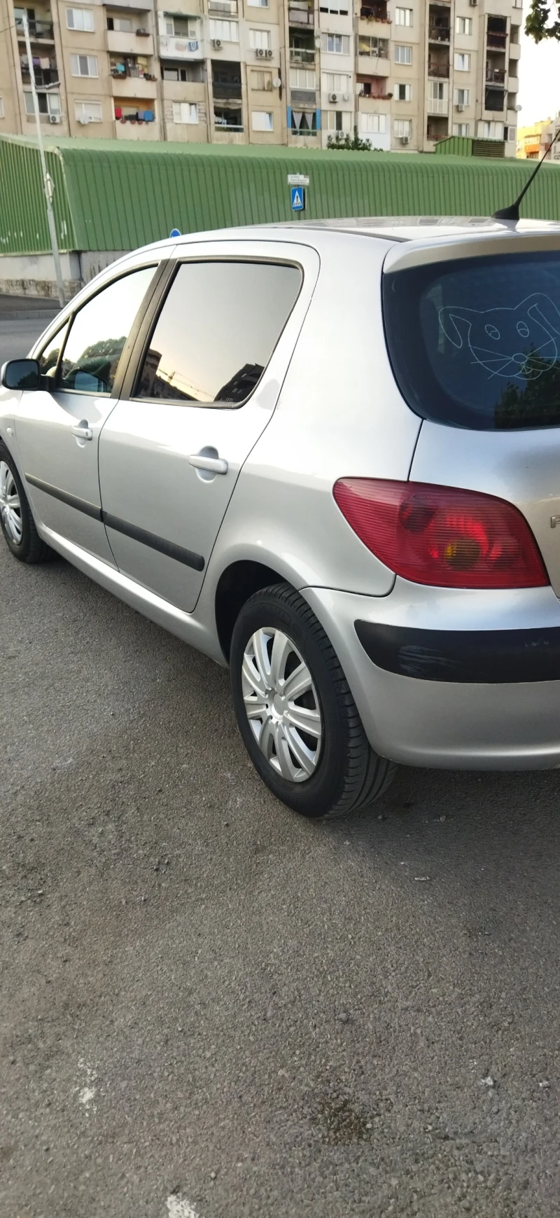 Peugeot 307, снимка 13 - Автомобили и джипове - 46868061