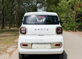 BENTU Electric, снимка 5