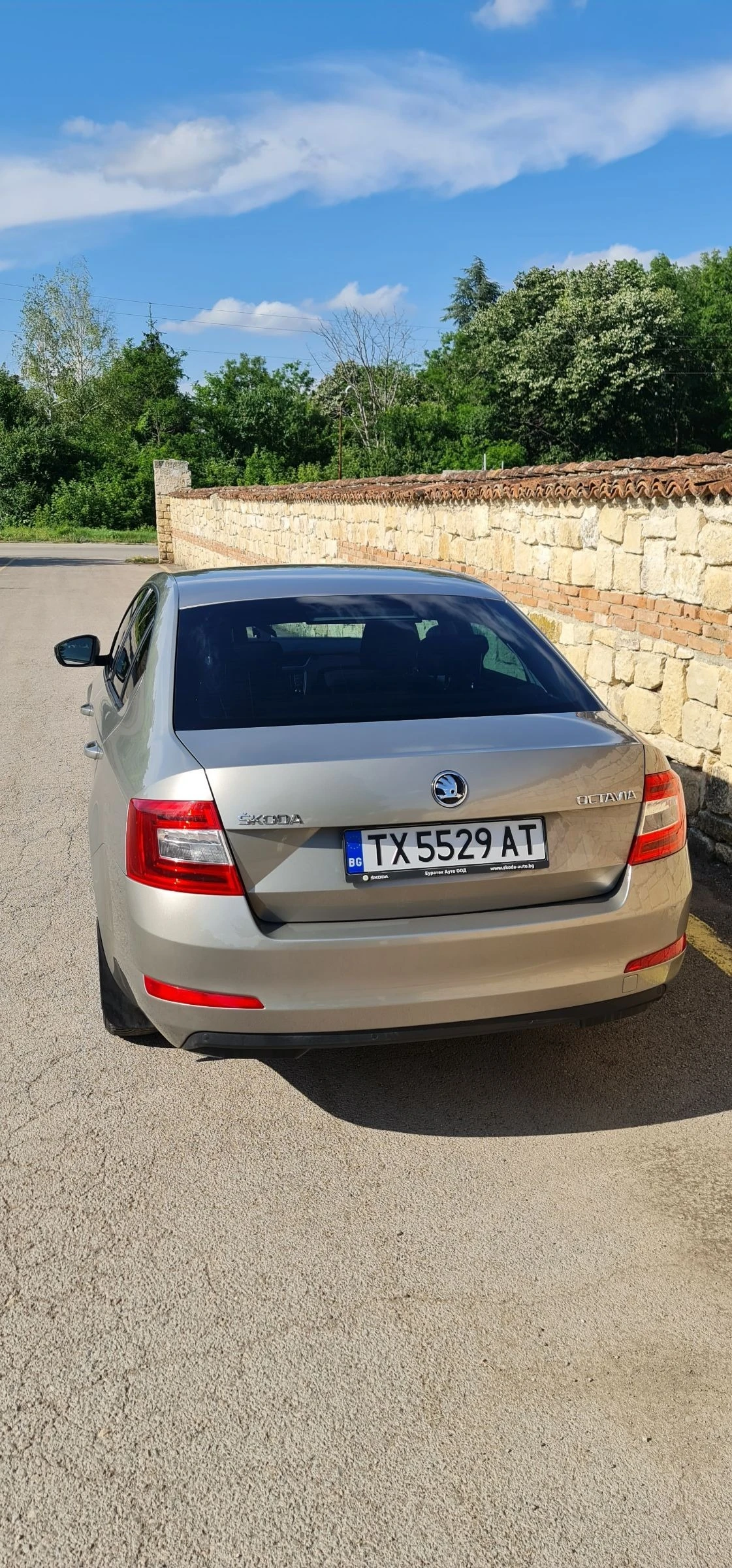 Skoda Octavia 1.6 TDI DSG 7-LED  - изображение 4