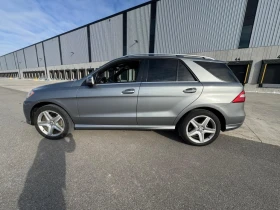 Mercedes-Benz ML 350 * BlueTEC * CARFAX * ЦЕНА ДО БГ - 14500 € / 28359.53 лв. - 69374650 2